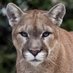 Kipling Elementary (@kipelem) Twitter profile photo Kipling Elementary (@kipelem) Twitter profile photo
