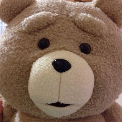 白鴎 スポーツ健康