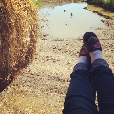 Chrissy_C2358's profile picture. 