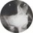 alterxegobase's profile image