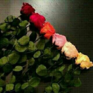 ‏‏‏‏‏‏‏‏انا قصه مات كاتبهاا ☁ 5/5                                                   ...الجنوب