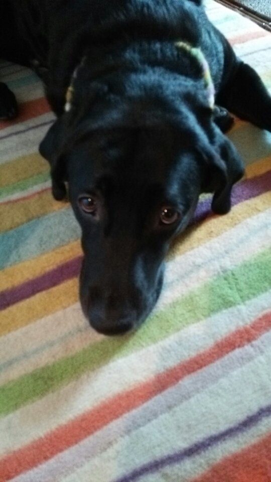 hana2568's profile picture. 西日本か東日本在住です。