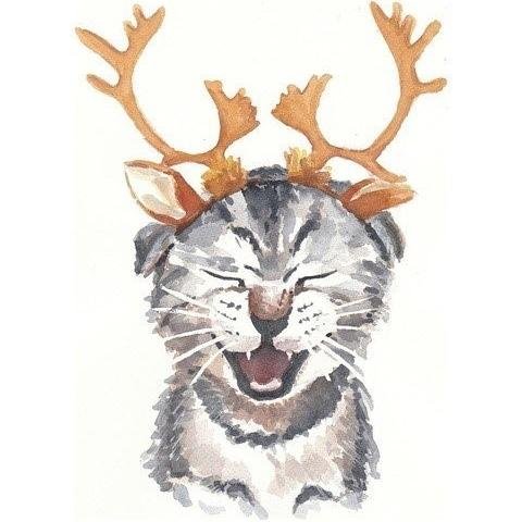 wowh's profile picture. Software Engineer wowh@DRL＆CCF