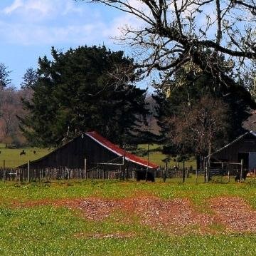 SadosiSubhidam's profile picture. Yangi Radio. Izlanishdamiz. Yuldamiz.