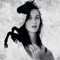 Aimz (@stevepeacokefa1) 's Twitter Profile