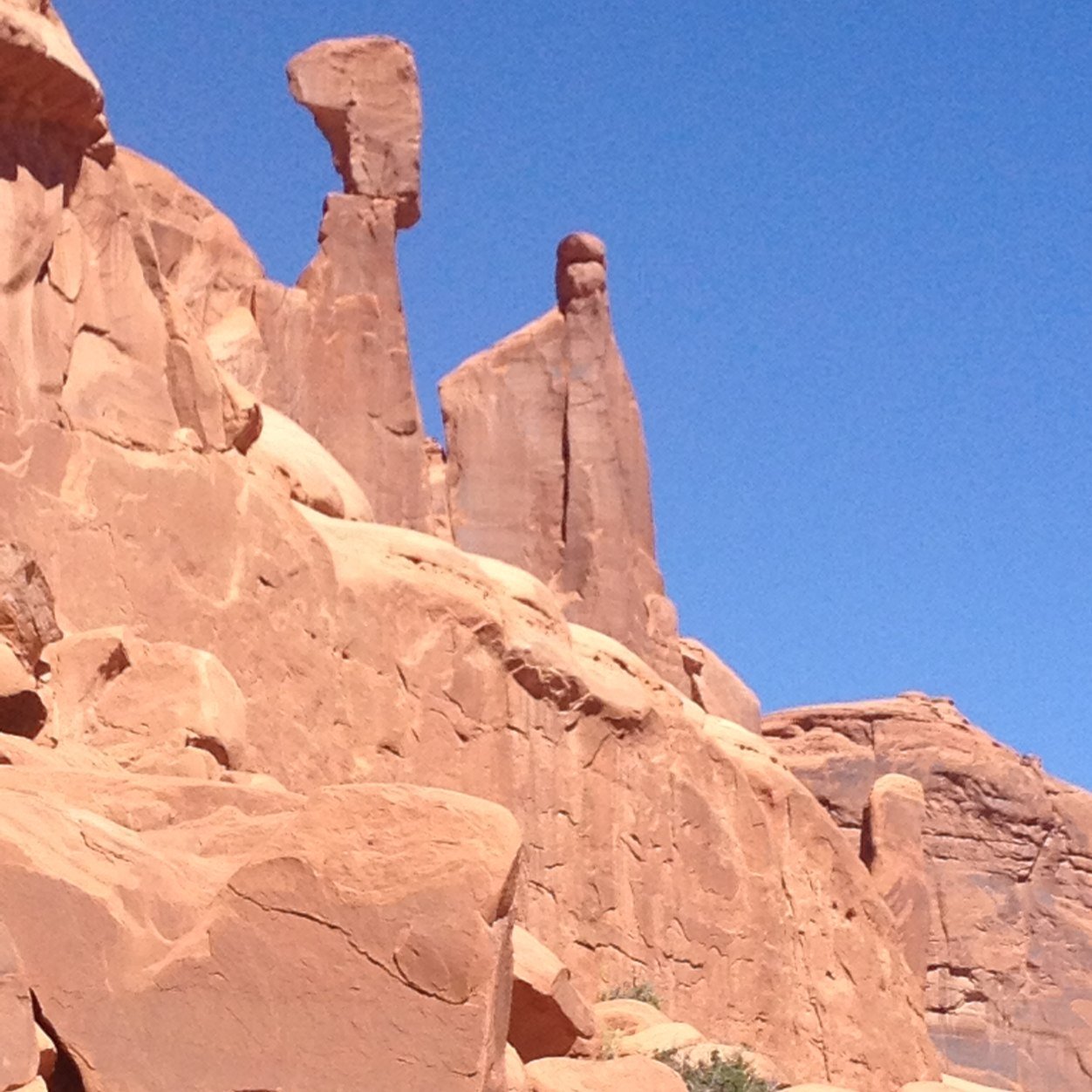 TsaoJenny's profile picture. 每天都要有進步 haha