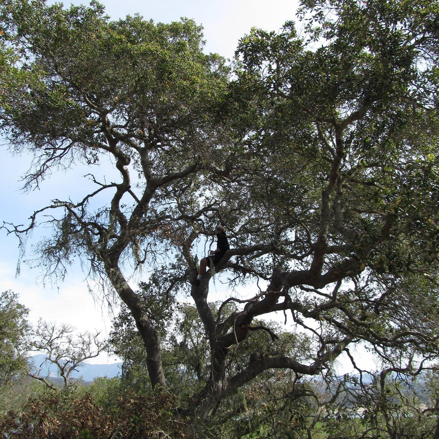 ajmata27's profile picture. 