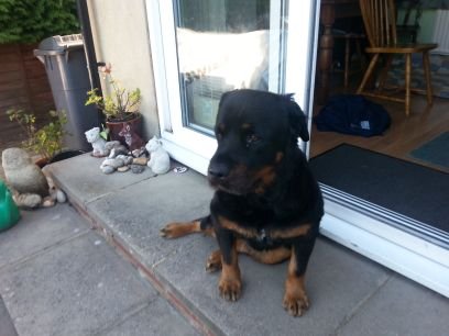 gren57's profile picture. 