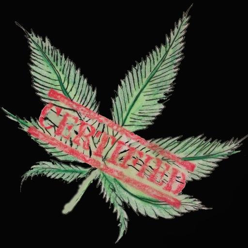 DankCertified's profile picture. Bringing together the certified best.

#DANK tweets and an even #DANKER website ahead!