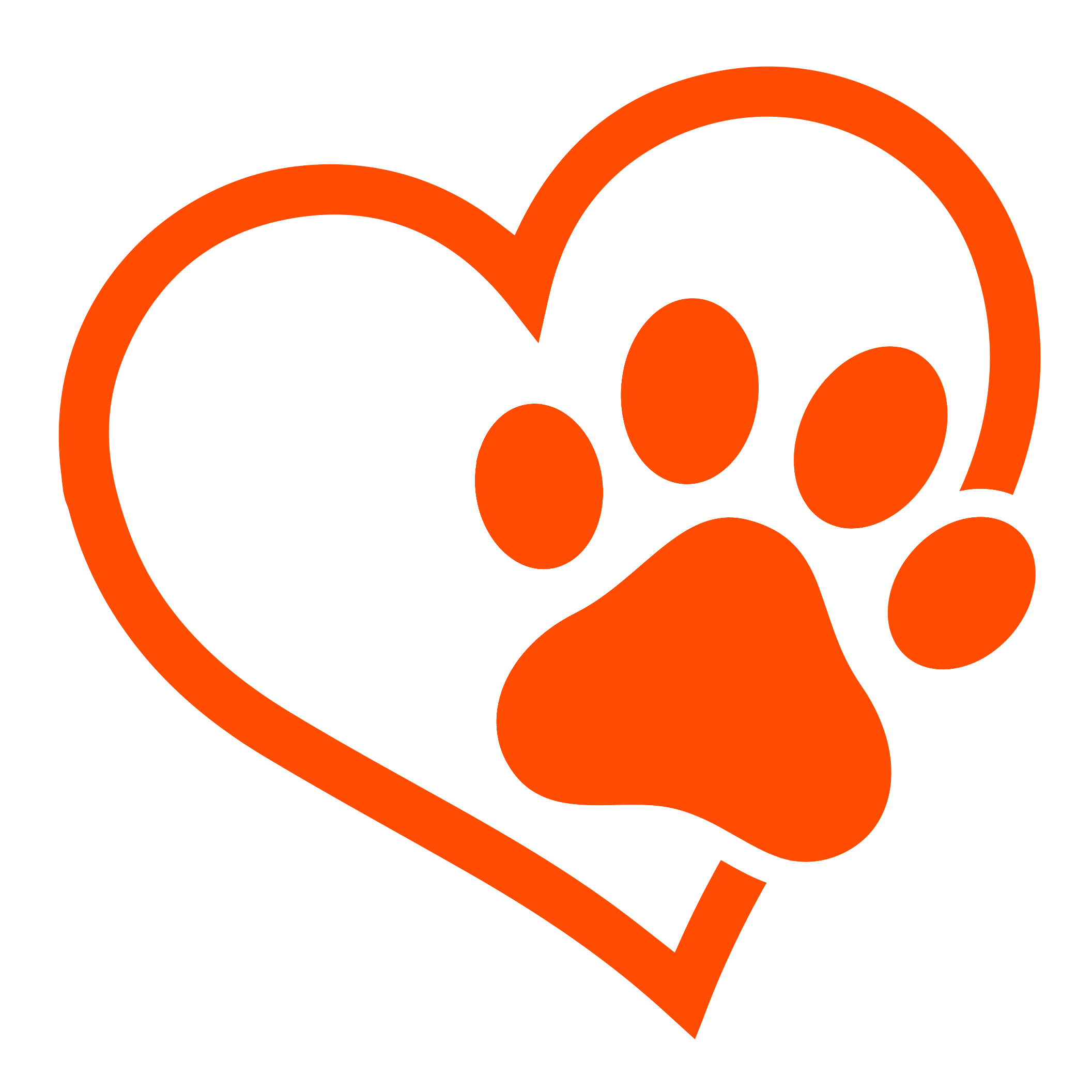 mybeastbuddy's profile picture. Dog training, dog walking, pet sitting