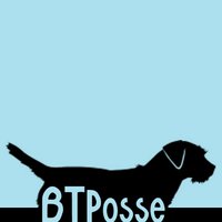 Border Terrier Posse (@btposse) 's Twitter Profile