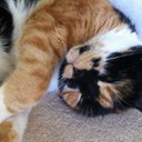 Jane Brodie - @eggsandthreads - Twitter