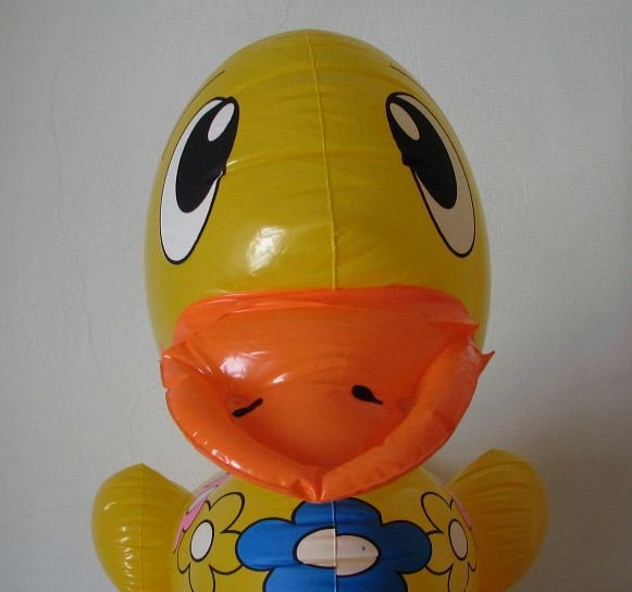 Hi guys ! 

I'm Dylan a yellow inflatable duck travelling and discovering this amazing planet

Follow me to see the world !!