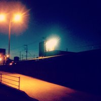 ふじこふじこ (@hatonnnnnn11) 's Twitter Profile Photo