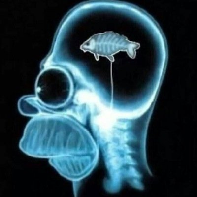 Check my company out at https://t.co/9PvIJgdzuv.........Also a keen carp angler Also i am currently working in the film industry building film sets