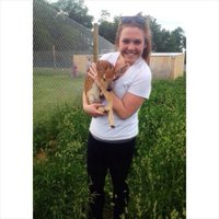 Jemima Dunlap (@jemimadunlap) 's Twitter Profile