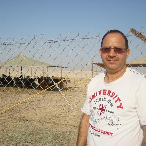 rspatial's profile picture. BUSINESSMAN running small contracting company