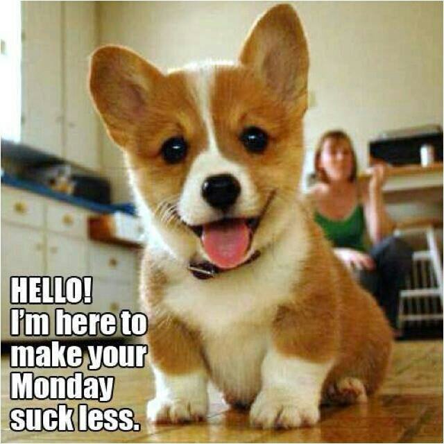 porterhill3's profile picture. 