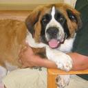 Patrick Loftus - @MuddyCreekPet - Twitter