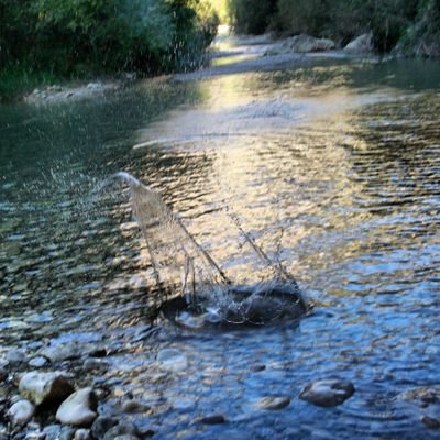 MEMPDMM's profile picture. 