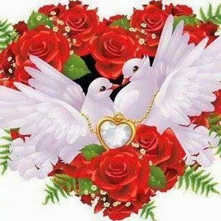 5949375dac78482's profile picture. 