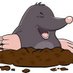 Stable Moles (@stablemoles) Twitter profile photo Stable Moles (@stablemoles) Twitter profile photo