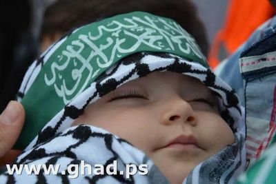 NIDALmN's profile picture. 