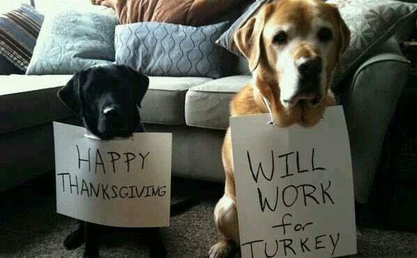 gsharp007's profile picture. 