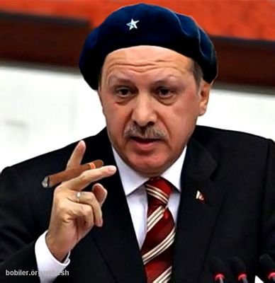 12ciCumhur's profile picture. muhalif hemde herseye