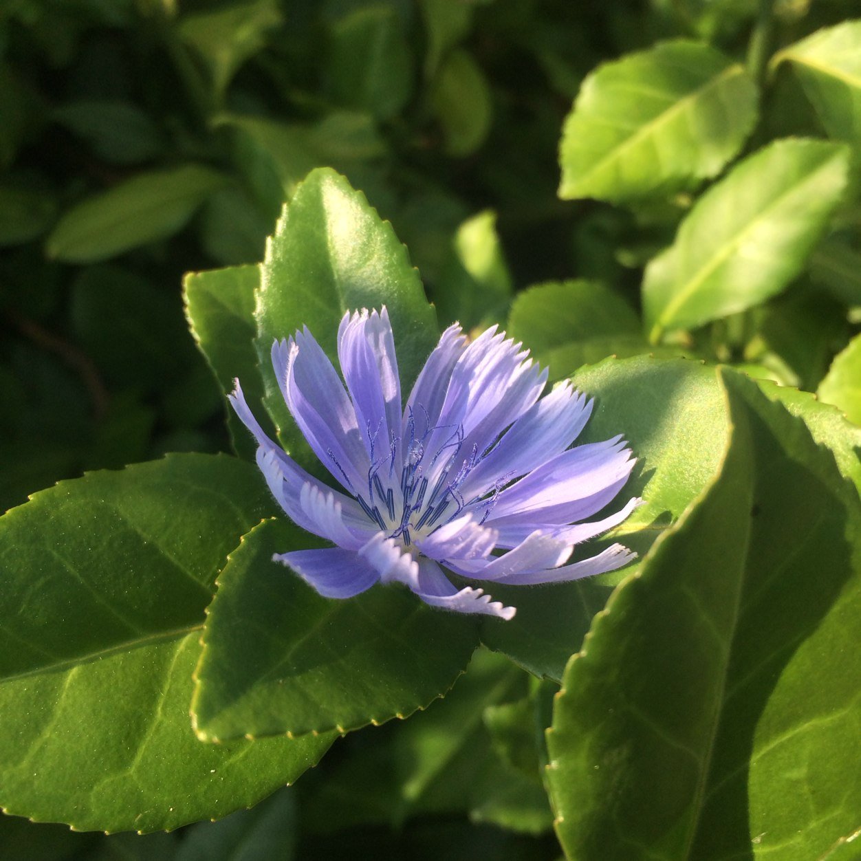 poldclay_'s profile picture. 