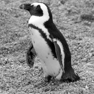 imbrium_photo's profile picture. 