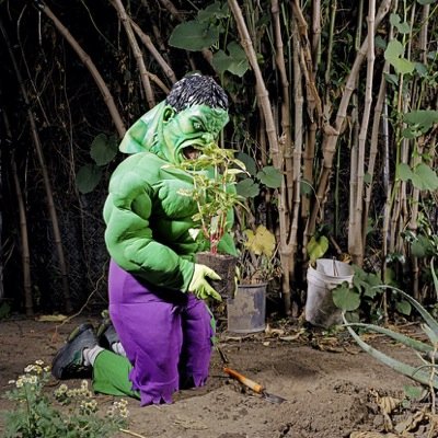 RabbitComic's profile picture. Editor of Michigan Comics Weekly