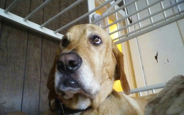 jellybelly9991's profile picture. Name Danee ·Taken by God ·Love life and my doggies ·Food for life