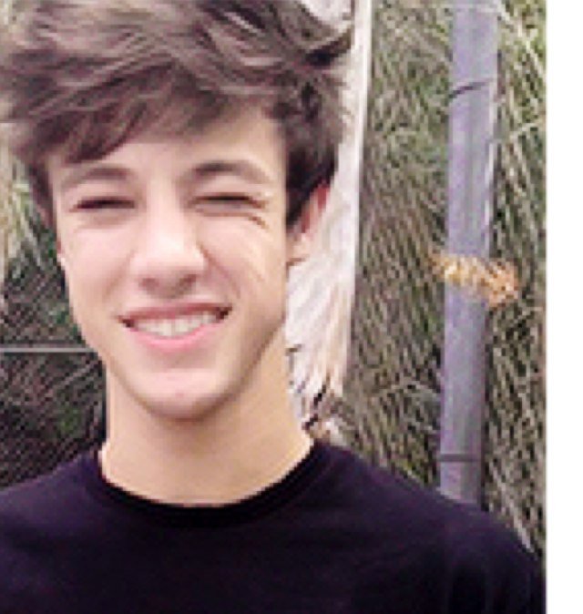 grier // dallas // bieber // styles