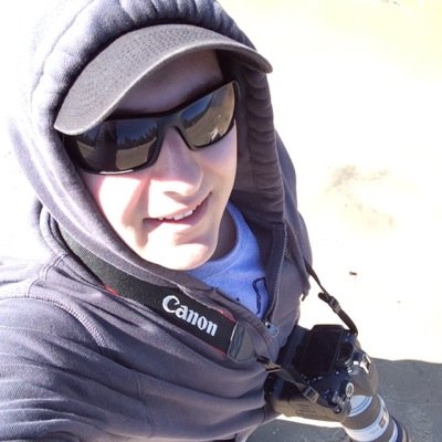 Dino_Tsiopanos's profile picture. 