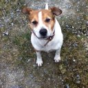 Amy McSweeney - @amymcs - Twitter