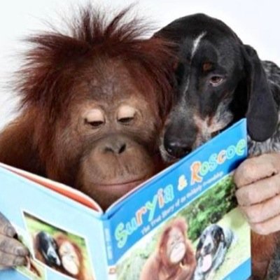 Georgie0000's profile picture. 