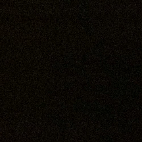 daguard00 Profile Picture