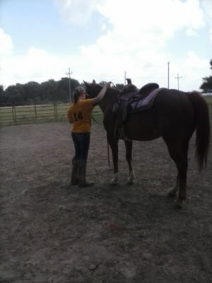 Heyyyy!!!! i am crazzzy! my animals are my world especially horses!!!and i love pole bendin!!!!