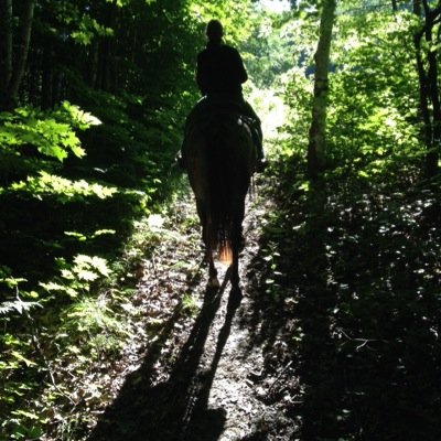 An equestrian advocacy alliance, unifying the voices of the equestrian community in King Township.
