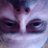 cidrake's profile image