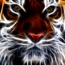 roberto (@2304roberto) Twitter