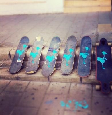 Skate and fuck every one else. // Miembros: @byxCi4 @Jordi_16kins @LizettVr @rafaelxulako69 @jorgecasal122 @LuciaStrife