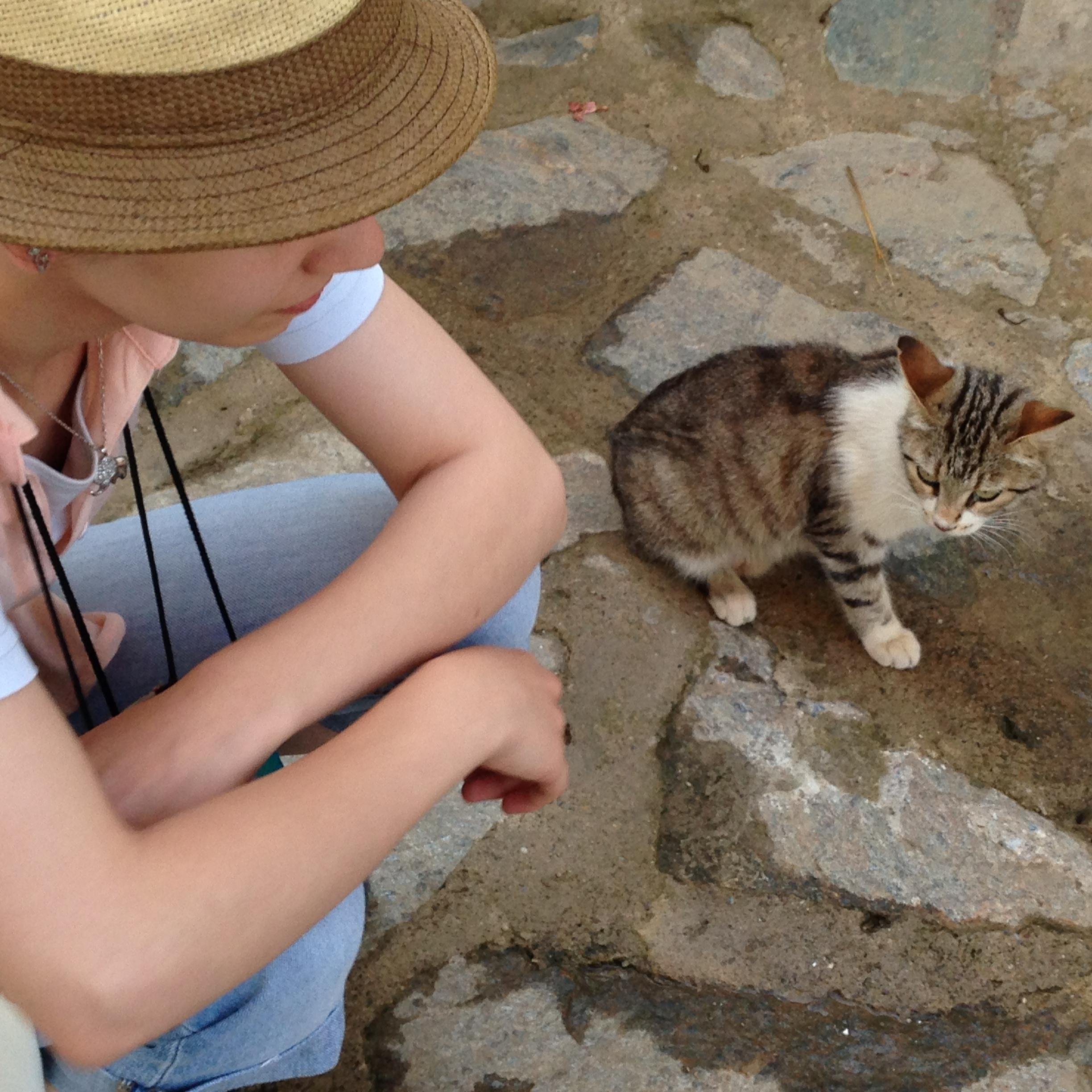 rendekarr's profile picture. psikolojikdanışman### Her insan herkes karşısında her şeyden sorumludur###