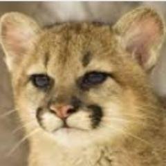 temporarily embarrassed millionaire | some political rants | otherwise trading (quant-aware discretionary)