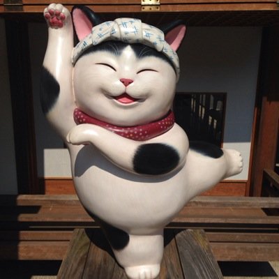 CAS垢です。 よろしくお願いしま〜す。ごぼう天うどん美味しい〜。