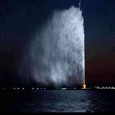 84d9ccfda18f433's profile picture. 