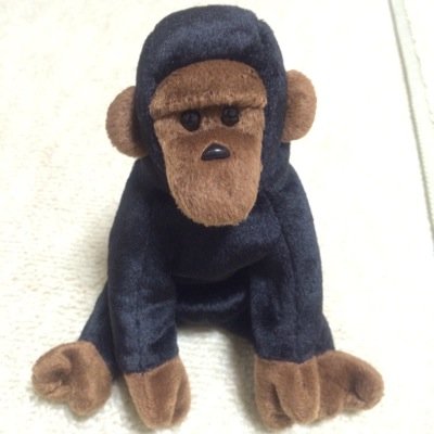 とむとんさんのプロフィール画像