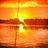 Sunsetcove71's profile image