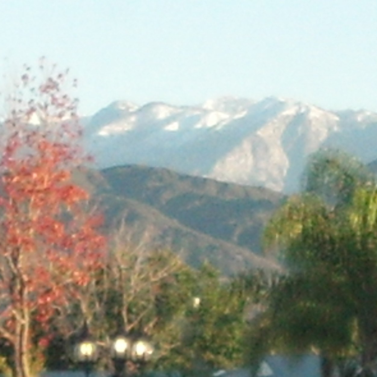 DSCruzin's profile picture. Educational advocate supporting higher education for under-represented groups.